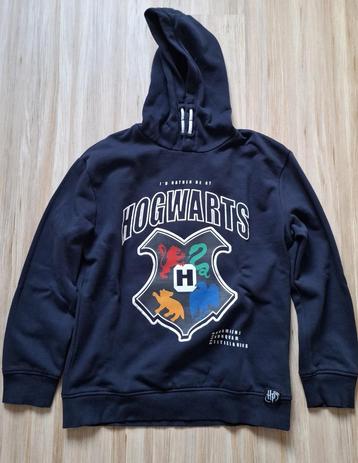 Harry Potter sweater mt 158 beschikbaar voor biedingen