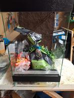 Terrarium 30x30x50 met toebehoren, Dieren en Toebehoren, Ophalen, Gebruikt, Terrarium of Paludarium