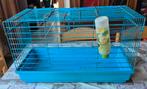 Cage lapin nain, Dieren en Toebehoren, Knaagdieren en Konijnen | Hokken en Kooien, Ophalen, Zo goed als nieuw, Kooi, Konijn
