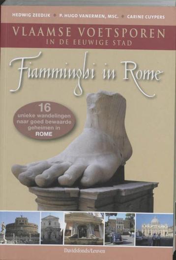 boek: Fiamminghi in Rome, Vlaamse voetsporen./Hedwig Zeedijk beschikbaar voor biedingen