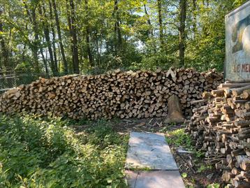 Bois de chauffage, 6 m³ ou plus, Enlèvement, Chêne, Bûches