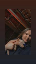 Job gezocht in de dierenbranche, Vacatures, Rijbewijs B