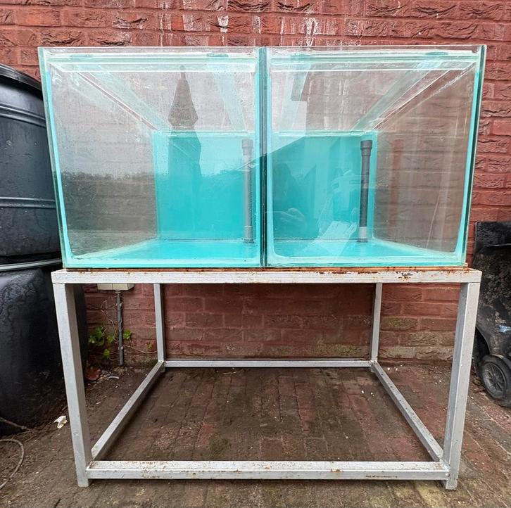 Kweekstelling, Animaux & Accessoires, Poissons | Aquariums & Accessoires, Comme neuf, Enlèvement