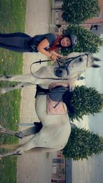 Ter adoptie, Dieren en Toebehoren, Paarden, Merrie