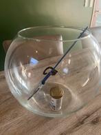 Mooie grote glazen aquarium met netje en voeding, Dieren en Toebehoren, Vis
