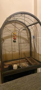 Kooi voor grote parkieten, Dieren en Toebehoren, Ophalen, Zo goed als nieuw, Metaal, Vogelkooi