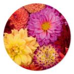 Muurcirkel Dahlia's, Ophalen of Verzenden, Nieuw