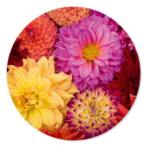 Muurcirkel Dahlia's, Huis en Inrichting, Woonaccessoires | Wanddecoraties, Nieuw, Ophalen of Verzenden