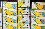 herbruikbare bananendozen met stevige kartonnen inzet, Diversen, Zo goed als nieuw, Ophalen