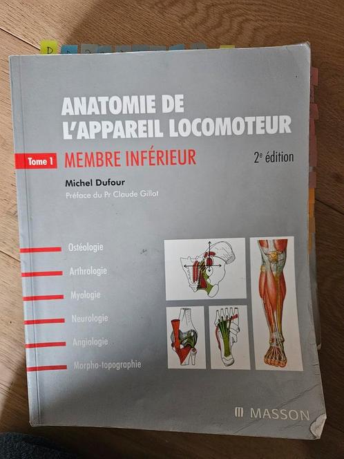 Anatomie dufour, Boeken, Studieboeken en Cursussen, Gelezen, Hoger Onderwijs, Ophalen of Verzenden