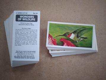 Wonders of Wildlife complete set 50 chromos Brooke Bond 1976 beschikbaar voor biedingen