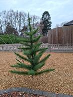 Namaak kerstboom, Divers, Enlèvement