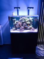 Aquarium marin read sea 250, Dieren en Toebehoren, Vissen | Aquaria en Toebehoren, Ophalen of Verzenden, Zo goed als nieuw