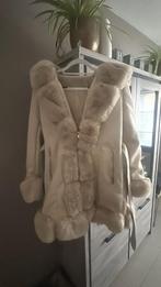 Prachtige winterjas, Kleding | Dames, Jassen | Winter, Ophalen of Verzenden, Zo goed als nieuw, Maat 42/44 (L)