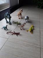 Dino in verschillende formaten 10€ voor alle, Ophalen