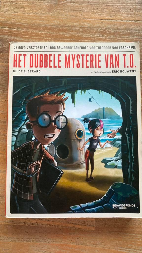 Hilde E. Gerard - Het dubbele mysterie van T.O., Boeken, Kinderboeken | Jeugd | 10 tot 12 jaar, Zo goed als nieuw, Ophalen