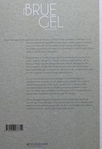 Pieter Bruegel / Ongezien / Davidsfonds / 2012, Boeken, Ophalen of Verzenden, Zo goed als nieuw
