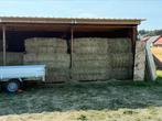 Droog ingepakt hooi, MET plastiek 90x120x180 2025, Dieren en Toebehoren
