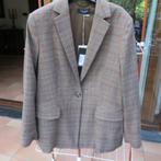 Jas nieuw ruit Terre Bleue mt 44, Kleding | Dames, Jassen | Winter, Overige kleuren, Maat 42/44 (L), Nieuw, Verzenden