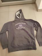 Hoodie Trui  RSCA Anderlecht 152/158, Sport en Fitness, Voetbal, Ophalen of Verzenden
