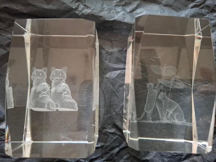 2 glazen kattenkubussen met 3D-tekening, Huis en Inrichting, Woonaccessoires | Overige, Nieuw, Ophalen of Verzenden