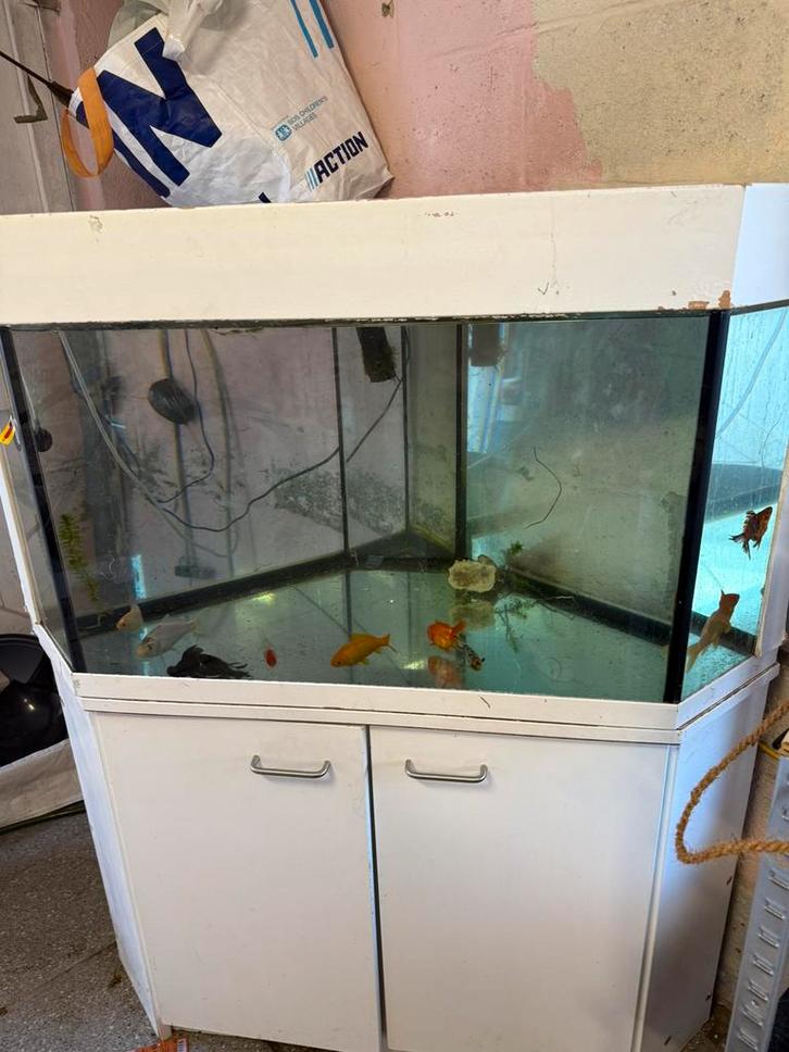 Compleet aquarium met een kast van 250-300l, Dieren en Toebehoren, Vissen | Aquaria en Toebehoren, Zo goed als nieuw, Ophalen