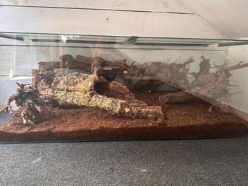 Terrarium  beschikbaar voor biedingen