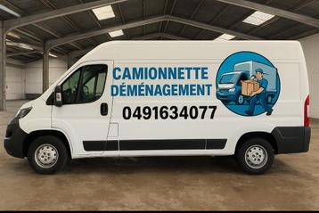 CAMIONNETTE beschikbaar voor biedingen