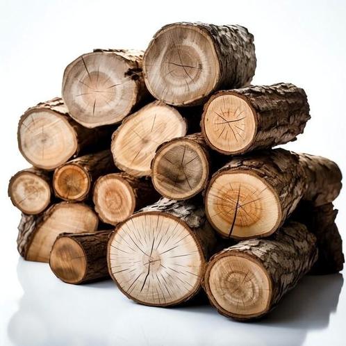 hout stammen of loof gezocht, Tuin en Terras, Brandhout, Stammen, Ophalen