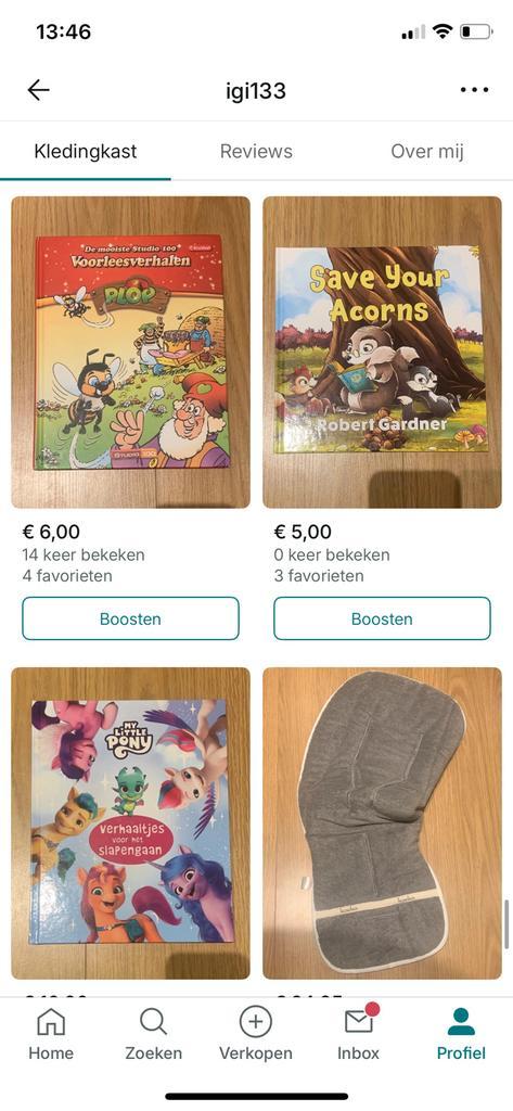 Grote kastopruiming wegens verhuis, Diversen, Overige Diversen, Ophalen