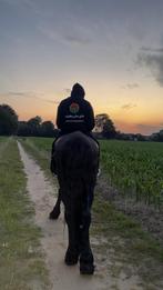 Sabr Mon plus beau cheval., Animaux & Accessoires, Chevaux & Poneys | Produits de soin, Enlèvement ou Envoi, Utilisé