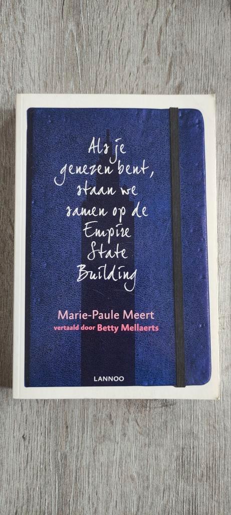 Marie-Paule Leert - Als je genezen bent, staan we samen.., Livres, Philosophie, Utilisé, Enlèvement ou Envoi
