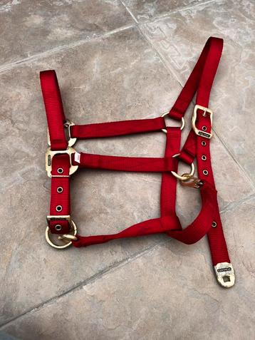 Halster Equi-theme maat paard beschikbaar voor biedingen