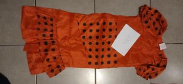 meisjeskleding maat 110, Kinderen en Baby's, Kinderkleding | Maat 110, Ophalen, Zo goed als nieuw, Meisje, Jas