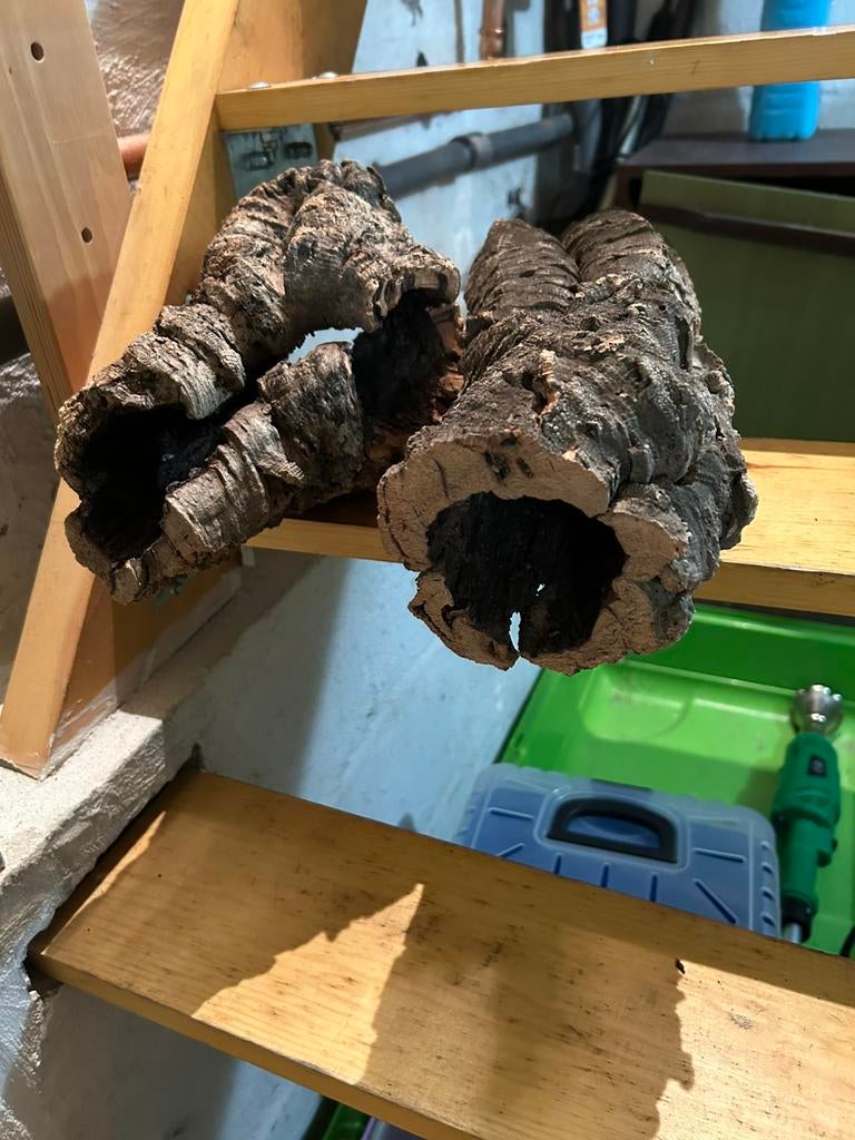 Dwerghamster spullen, Ophalen