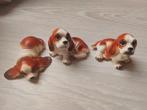 Biscuit set 3 hondjes, Collections, Collections Animaux, Enlèvement ou Envoi, Comme neuf, Autres, Statue ou Figurine