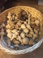 klok kast of tafel onderdelen in beuken houd, Enlèvement