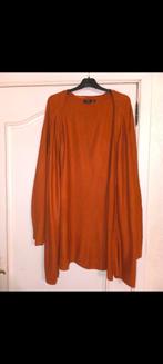 Leuke vest zizzi large kan tot xxl, Kleding | Dames, Grote Maten, Ophalen of Verzenden