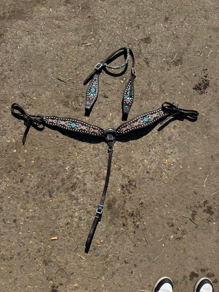 Borstriem en kopstuk, Animaux & Accessoires, Chevaux & Poneys | Brides & Harnachement, Enlèvement, Comme neuf, Western