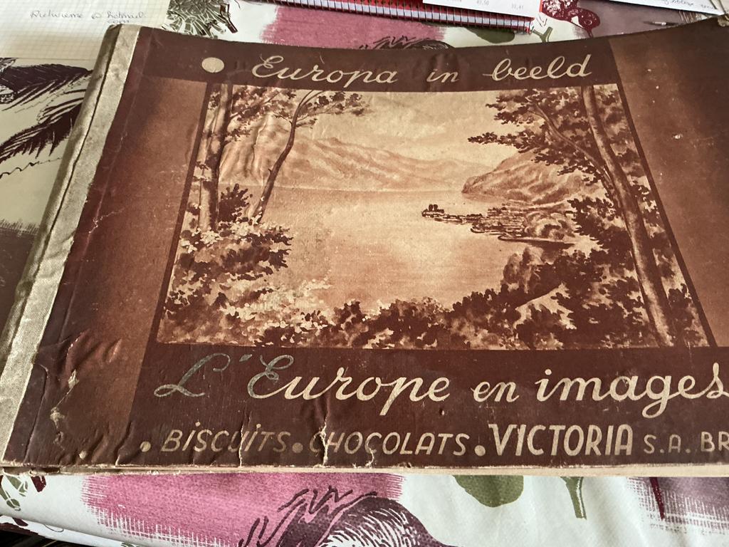 Prentenboek Victoria, Boeken, Kunst en Cultuur | Beeldend, Gelezen, Ophalen