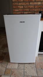 Diepvries Proline  TTZ74, Elektronische apparatuur, Vriezers en Diepvrieskisten, Ophalen, Zo goed als nieuw, Vrijstaand, Vrieskast