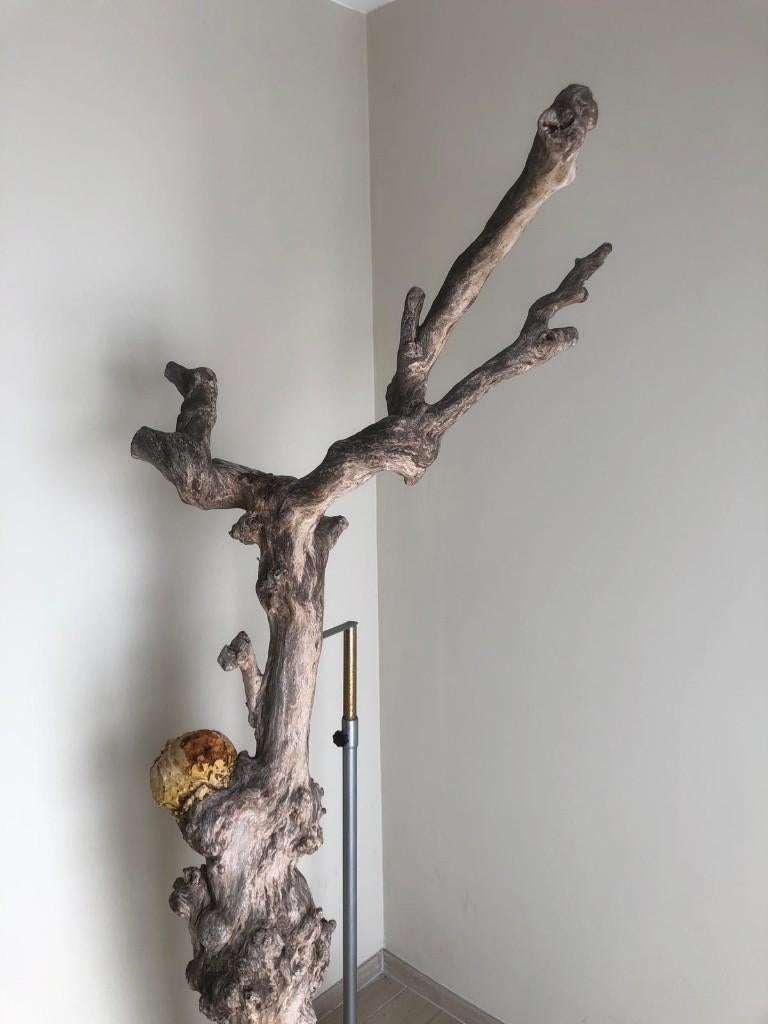 porte-manteau ou élément décoratif, Enlèvement