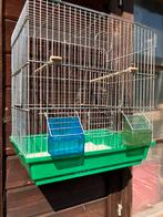 2 GRASPARKIETJES MET KOOI VOOR 40 EURO !!, Enlèvement, Comme neuf, Autres matériaux, Cage à oiseaux