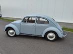 Volkswagen Beetle '53 - Twitter, Autos, Achat, Beige, Entreprise, 2 places