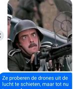 Gezocht dwergkwartels, Animaux & Accessoires, Oiseaux | Pigeons