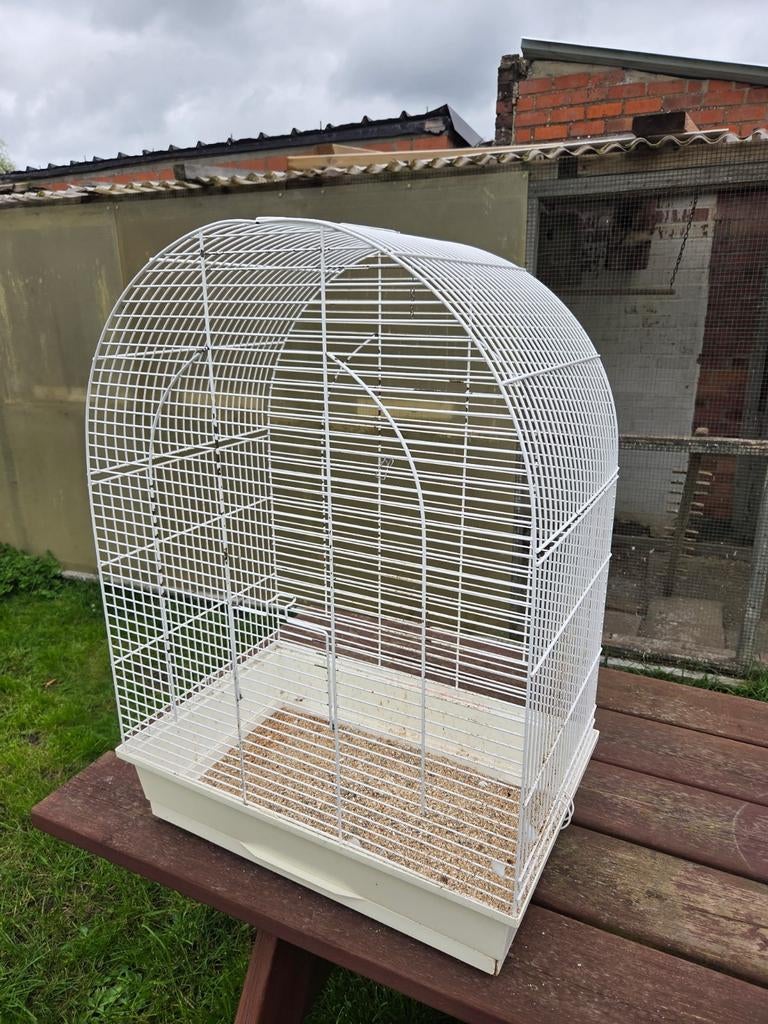 Kooi te koop, Ophalen, Gebruikt, Metaal, Vogelkooi