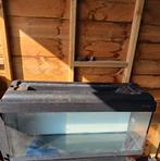 Aquarium 1m, Ophalen, Gebruikt, Leeg aquarium