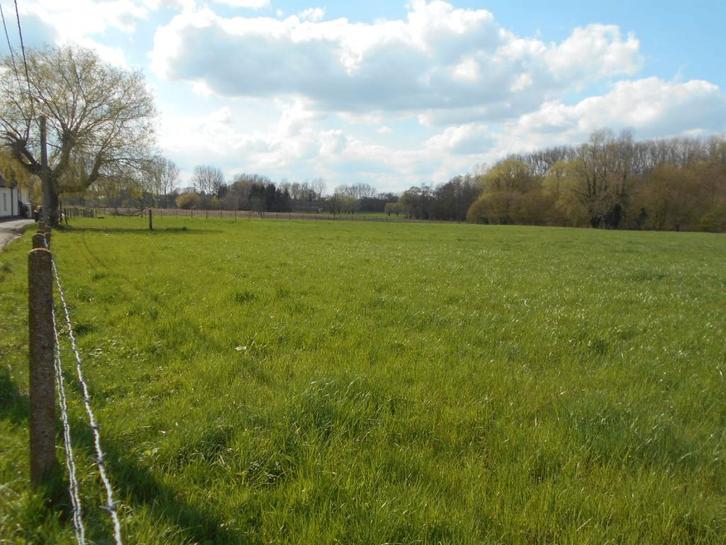 Weide / Landbouwgrond te koop, Immo, Gronden en Bouwgronden, 1500 m² of meer