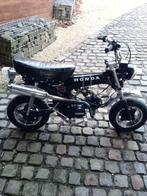 Vrai dax, Enlèvement