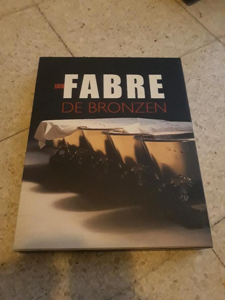 jan fabre "de bronzen", Boeken, Kunst en Cultuur | Beeldend, Zo goed als nieuw, Beeldhouwkunst, Ophalen of Verzenden
